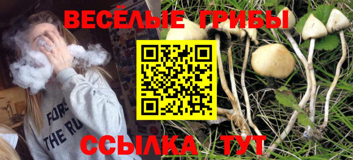 Галлюциногенные грибы Magic Shrooms Черногорск